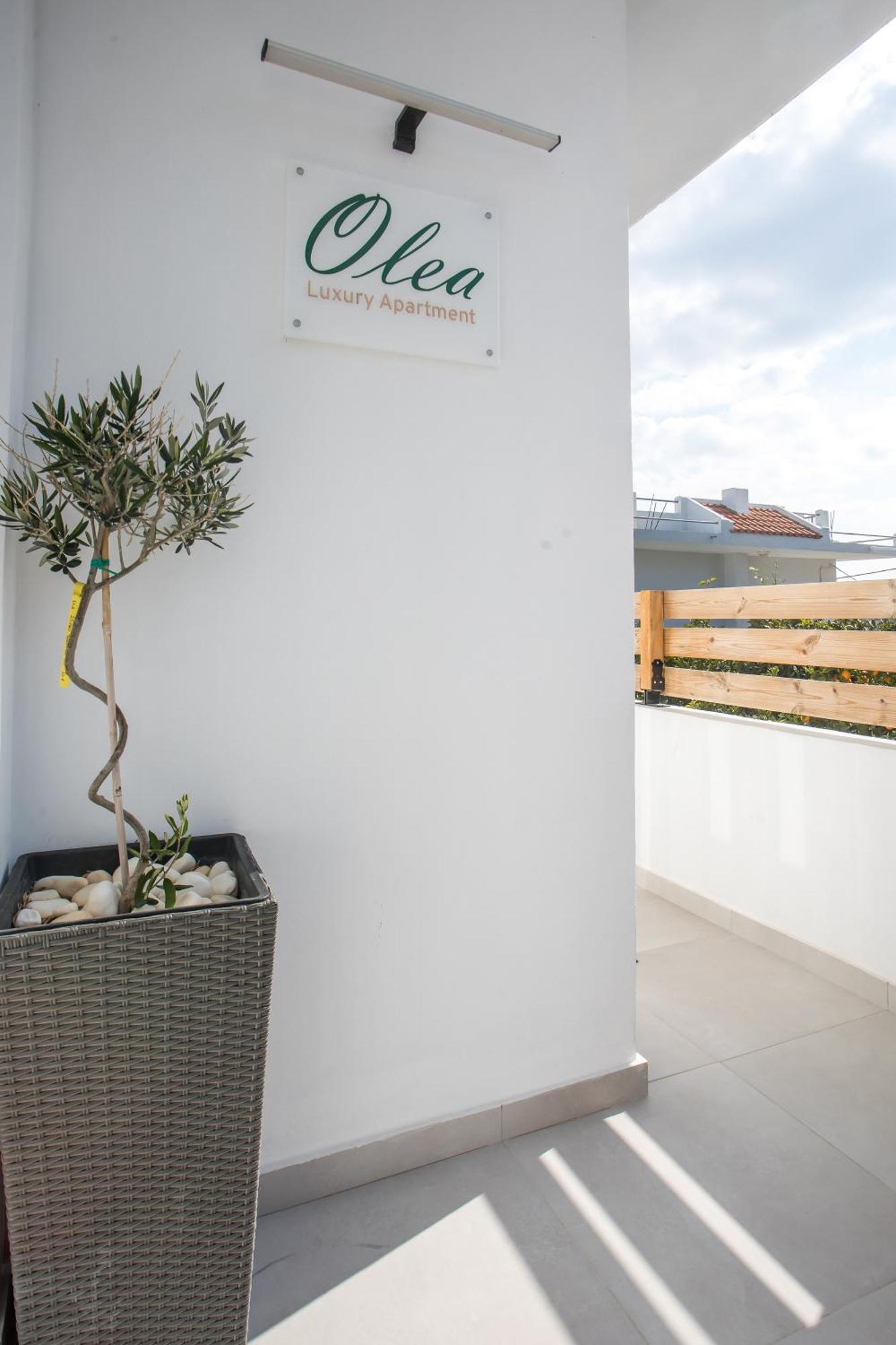 Olea Luxury Apartment 阿凡投 外观 照片